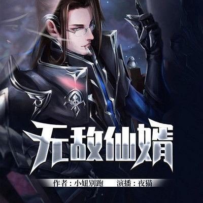 无敌仙婿,跨界奇缘，凡人逆袭仙界传奇