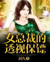 冰山美女总裁的丐王保镖,丐王传奇背后的守护者