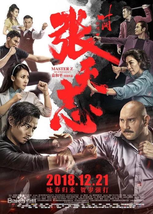 叶问外传：张天志（国语版）,张天志——传承武魂，捍卫国威