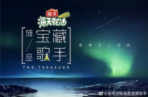 谁是宝藏歌手,揭秘谁是宝藏歌手