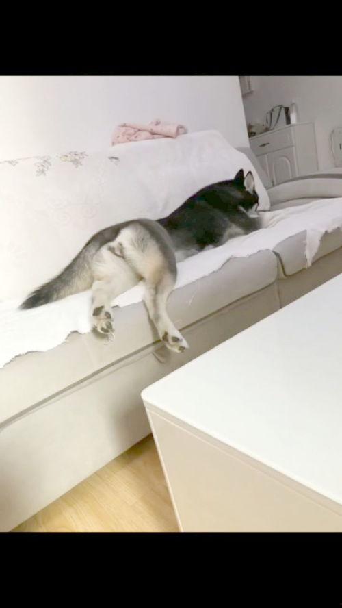 做梦就起飞，这梦不敢做了,揭秘那些让人不敢再做的惊悚梦境