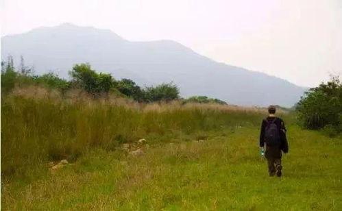 灌木丛地 第一季,荒野求生与人性考验的生存传奇